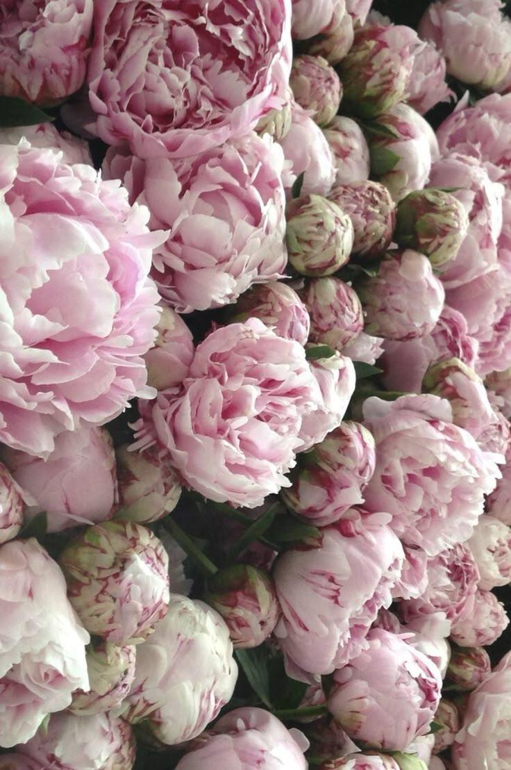 Corporate floral design consultation example